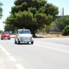 Montevago 2010 (465)